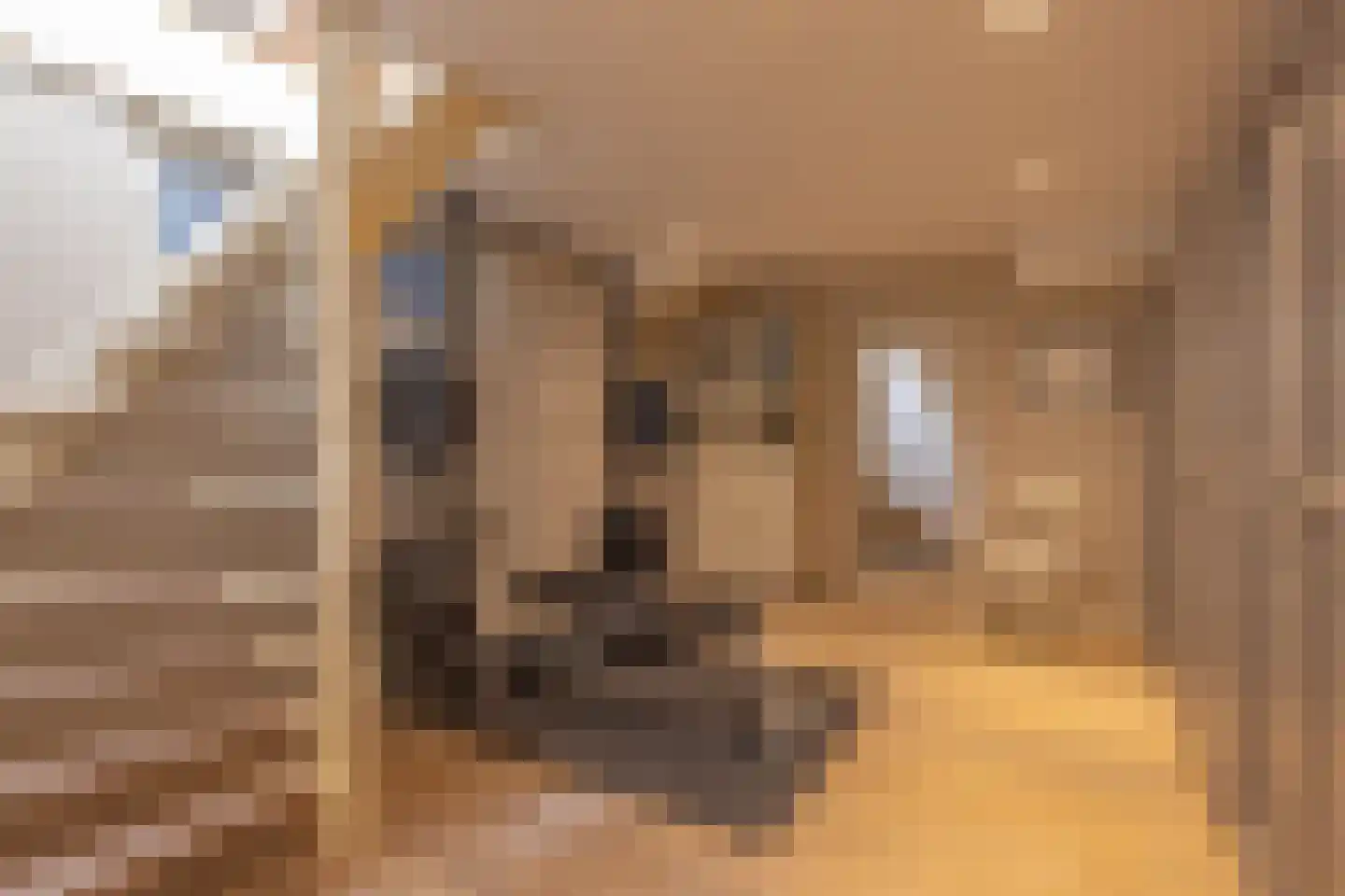 Van Hasseltstraat 130 Arnhem thumbnail 18