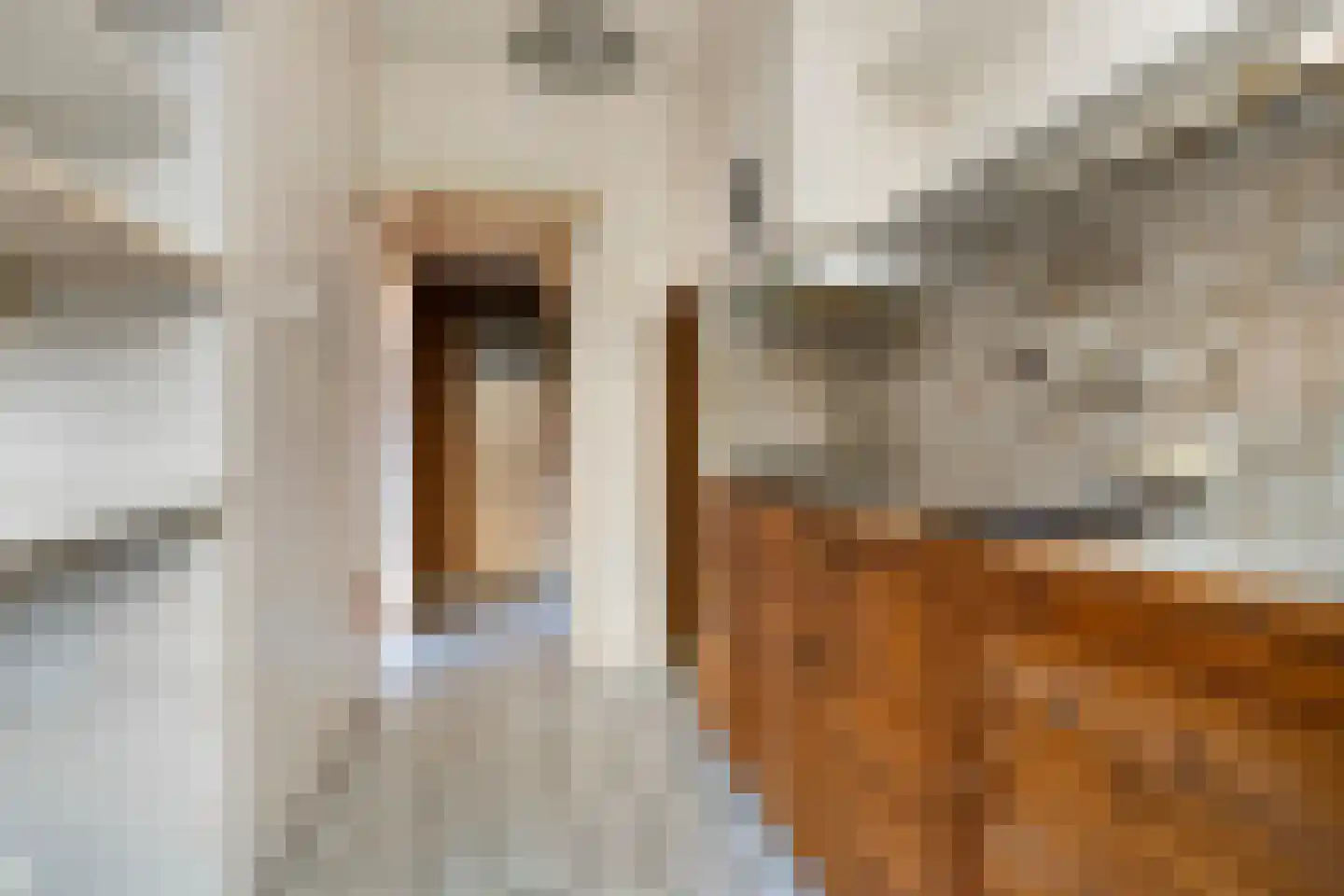 van Hasseltstraat 17 Zutphen thumbnail 12