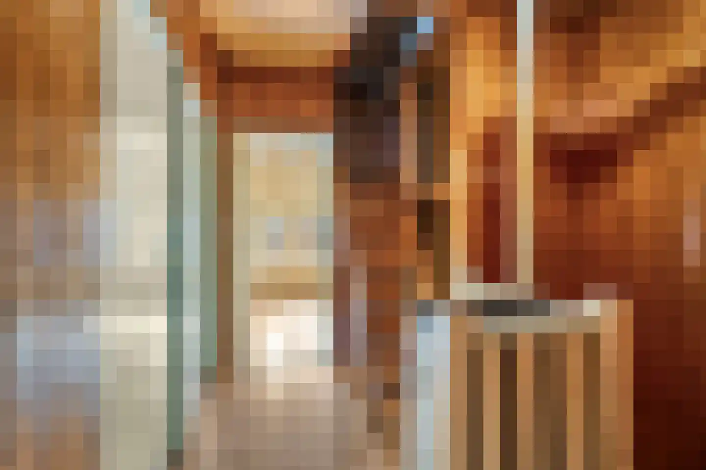 van Hasseltstraat 17 Zutphen thumbnail 15