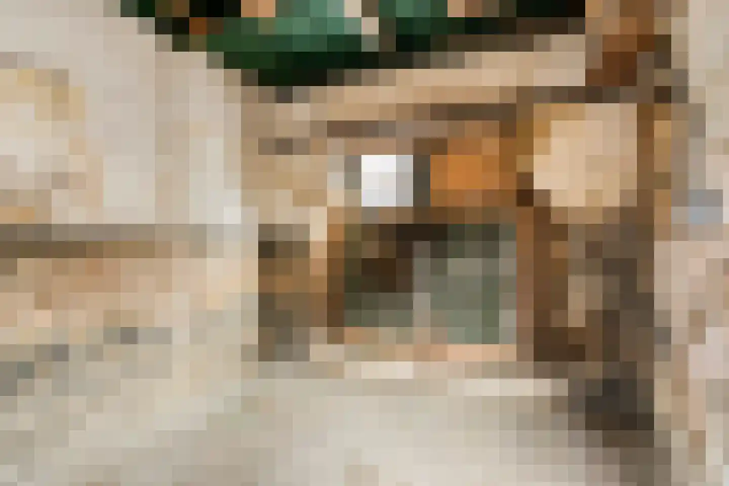 van Hasseltstraat 17 Zutphen thumbnail 29