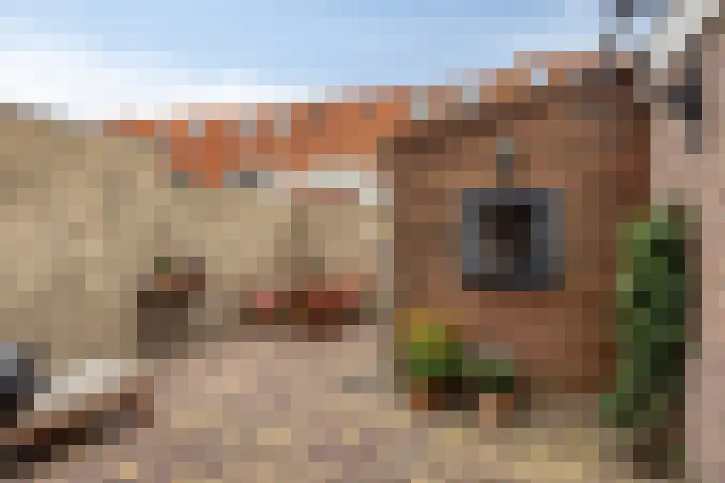 van Hasseltstraat 52 Kampen thumbnail 31