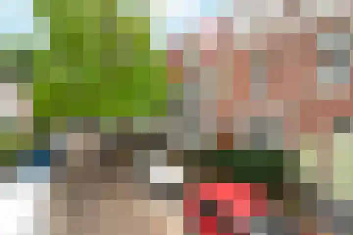 Van Hasseltstraat 6 3 Arnhem thumbnail 4