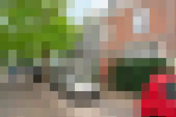 Van Hasseltstraat 6 3 Arnhem thumbnail 5