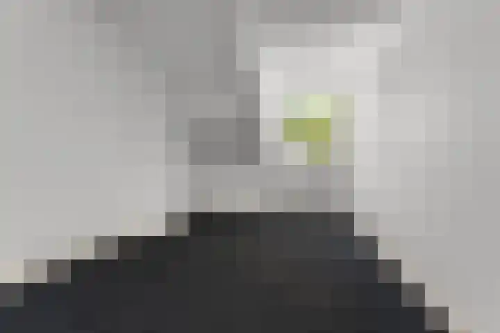 Van Hasseltstraat 6 3 Arnhem thumbnail 7