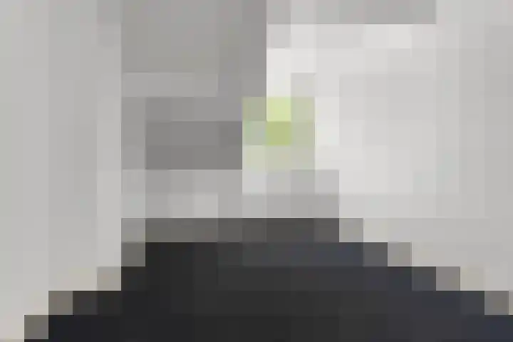 Van Hasseltstraat 6 3 Arnhem thumbnail 8