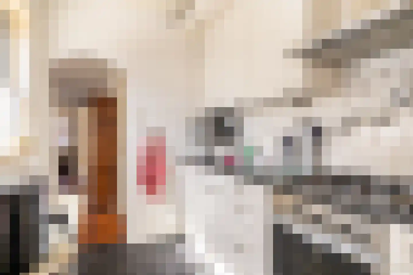 van Hasseltstraat 6 Kampen thumbnail 12