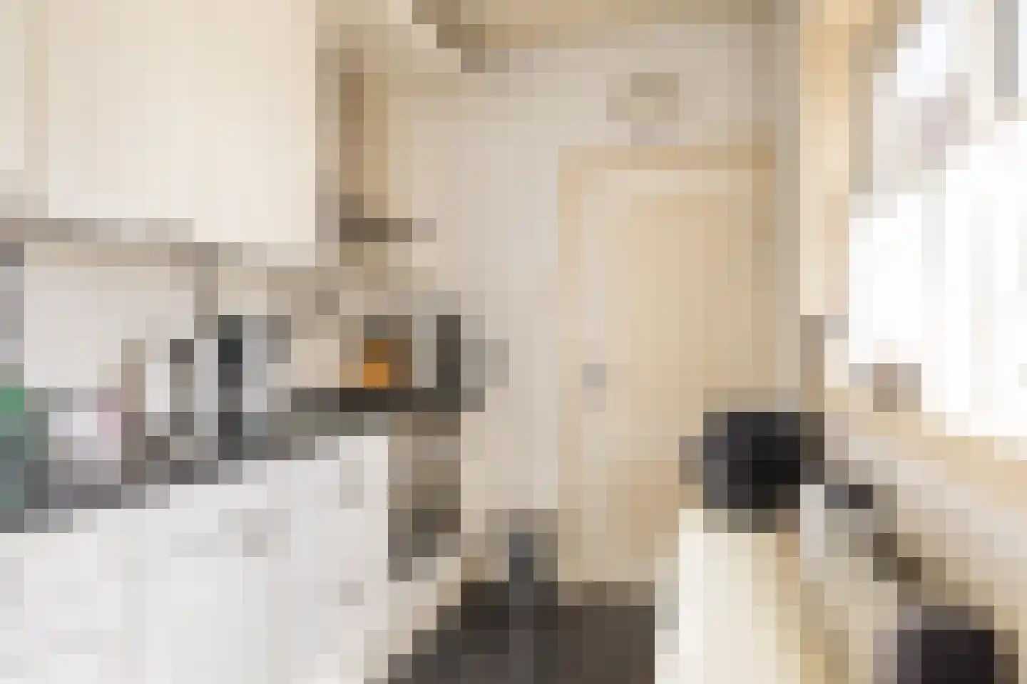 van Hasseltstraat 6 Kampen thumbnail 13