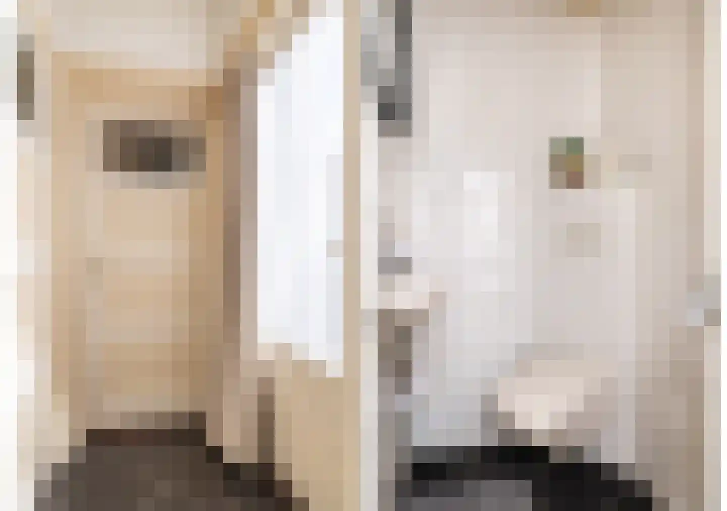 van Hasseltstraat 6 Kampen thumbnail 14