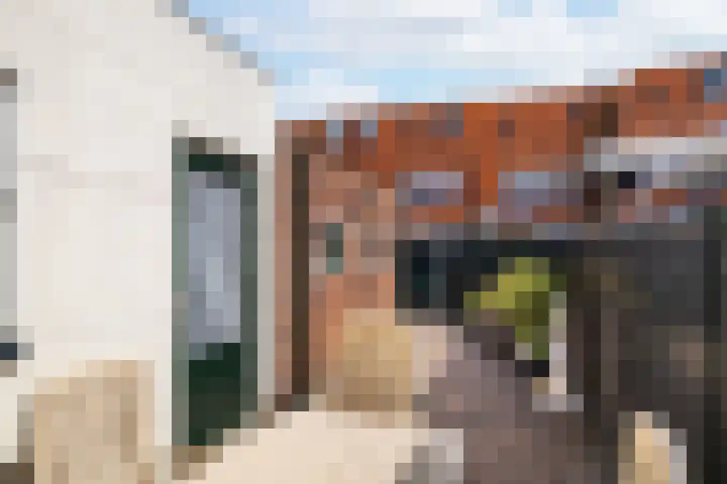 van Hasseltstraat 6 Kampen thumbnail 31