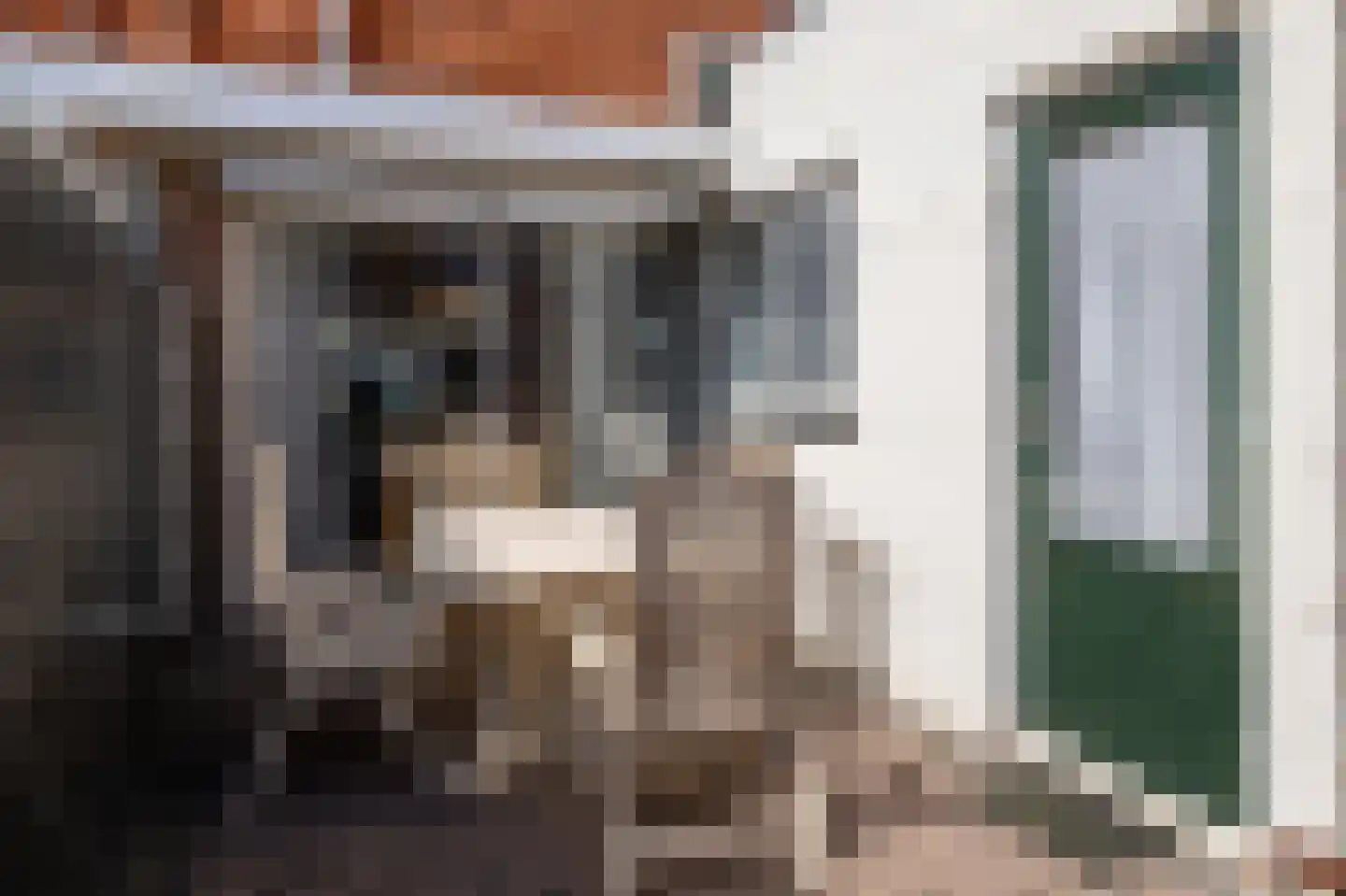 van Hasseltstraat 6 Kampen thumbnail 34