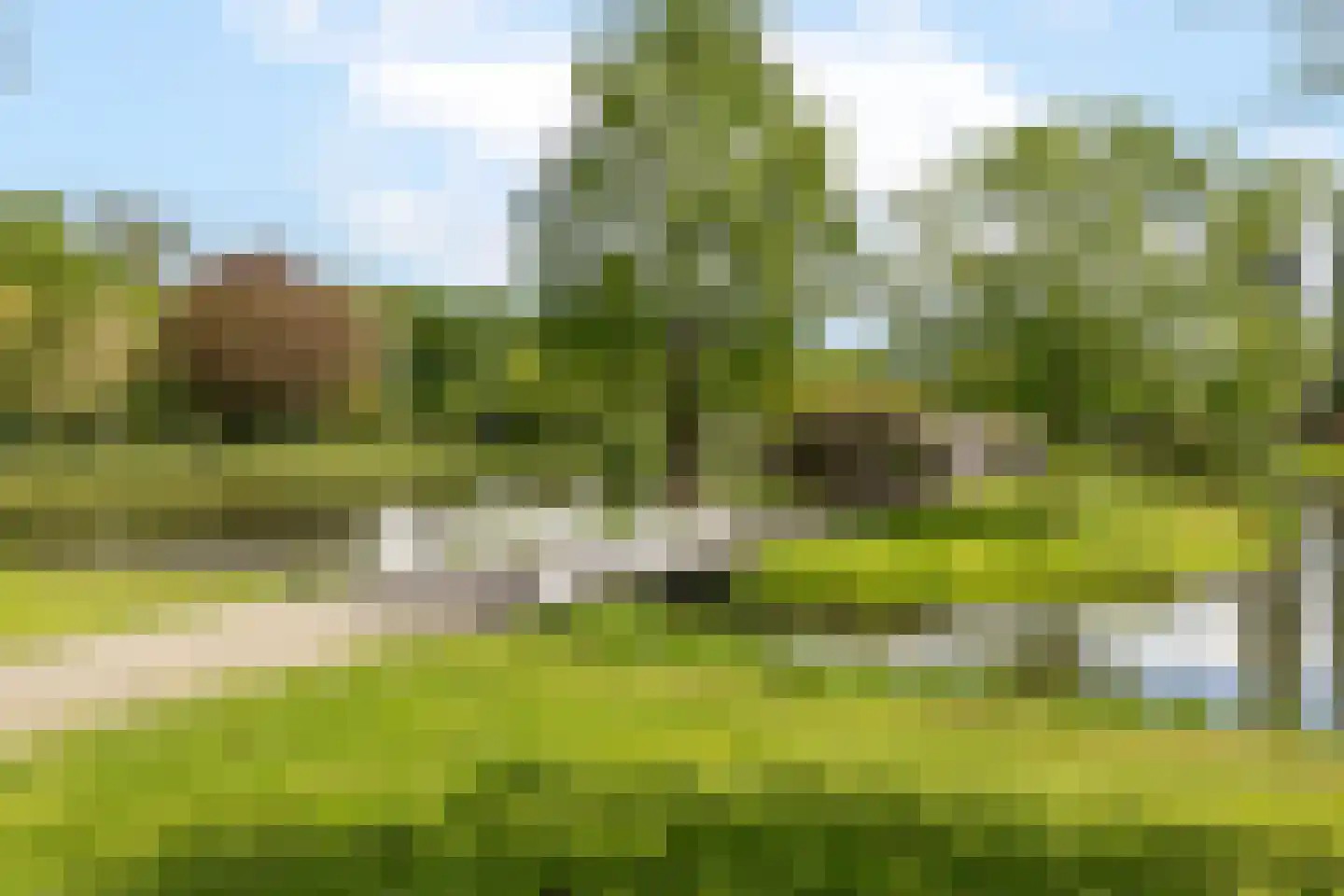 van Hasseltstraat 6 Kampen thumbnail 37