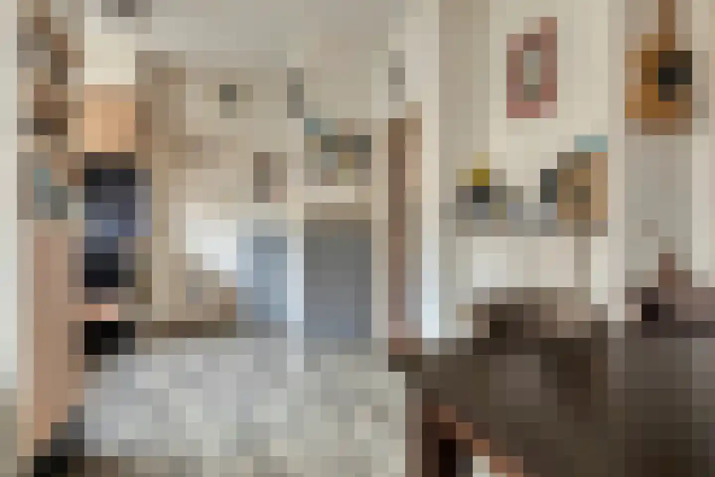 van Hattumstraat 2 Ellewoutsdijk thumbnail 10