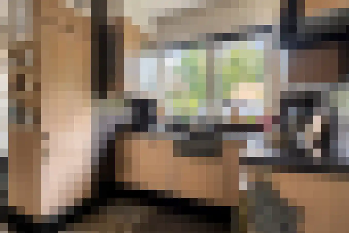 van Hattumstraat 2 Ellewoutsdijk thumbnail 12