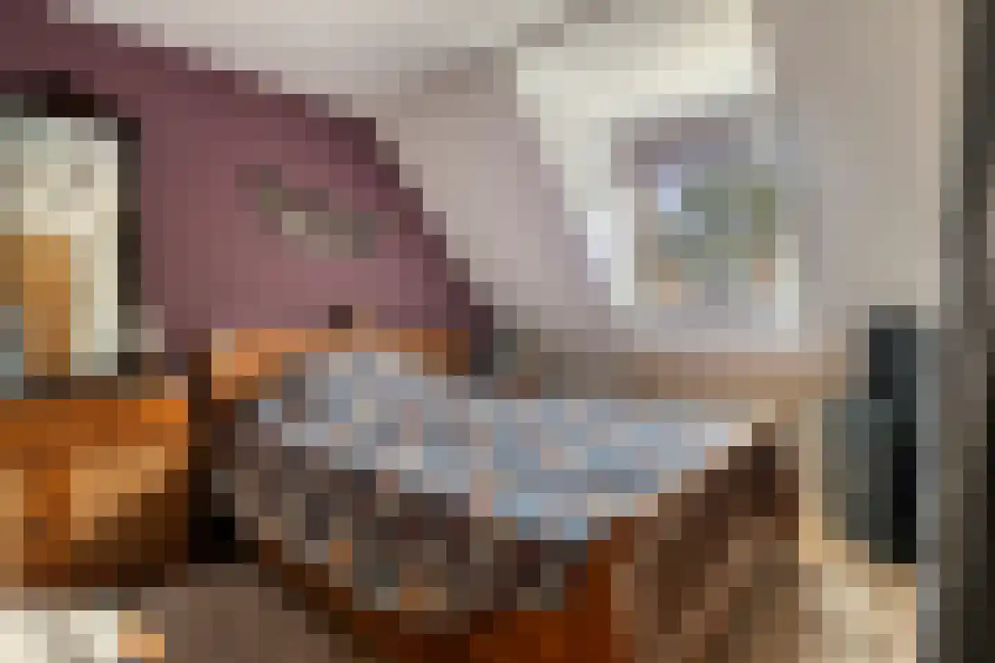 van Hattumstraat 2 Ellewoutsdijk thumbnail 17