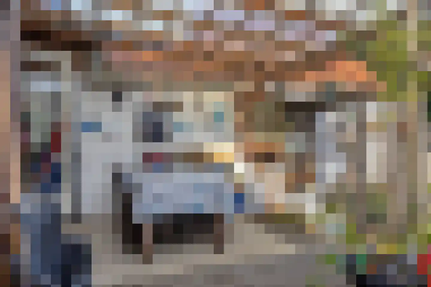 van Hattumstraat 2 Ellewoutsdijk thumbnail 20