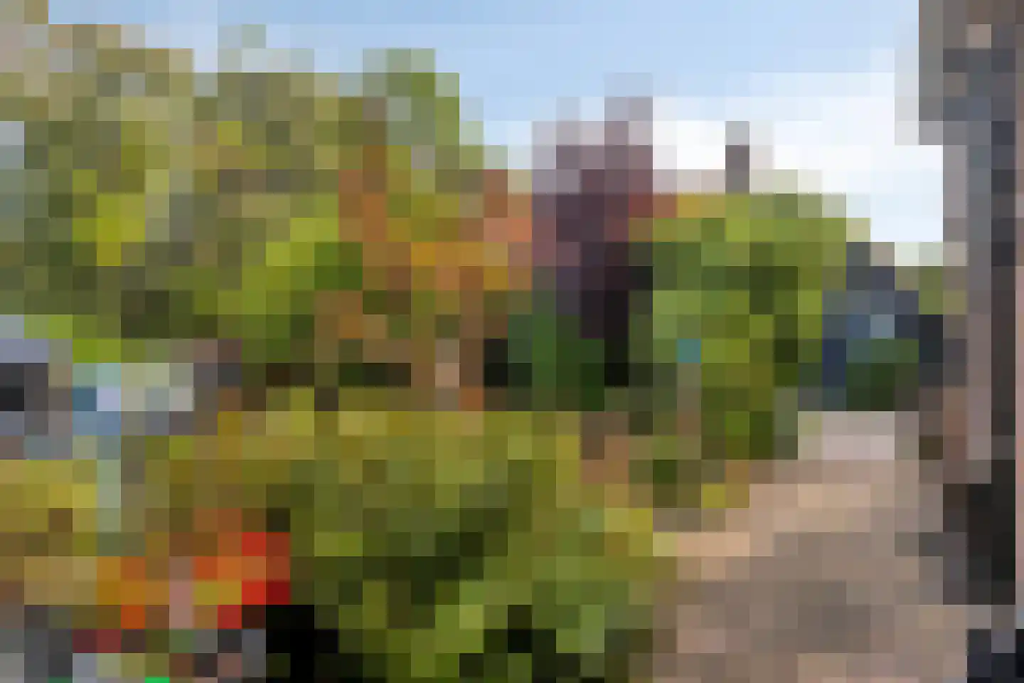 van Hattumstraat 2 Ellewoutsdijk thumbnail 21