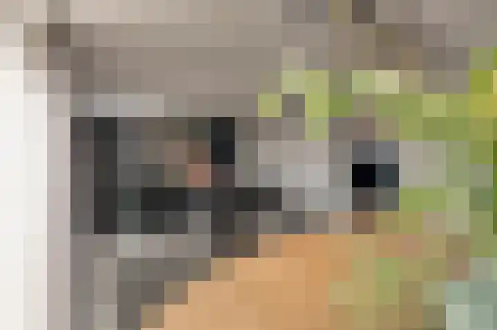 van Hattumstraat 28 Ellewoutsdijk thumbnail 17