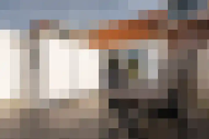 van Hattumstraat 28 Ellewoutsdijk thumbnail 29