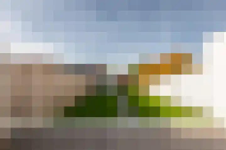 van Hattumstraat 28 Ellewoutsdijk thumbnail 31
