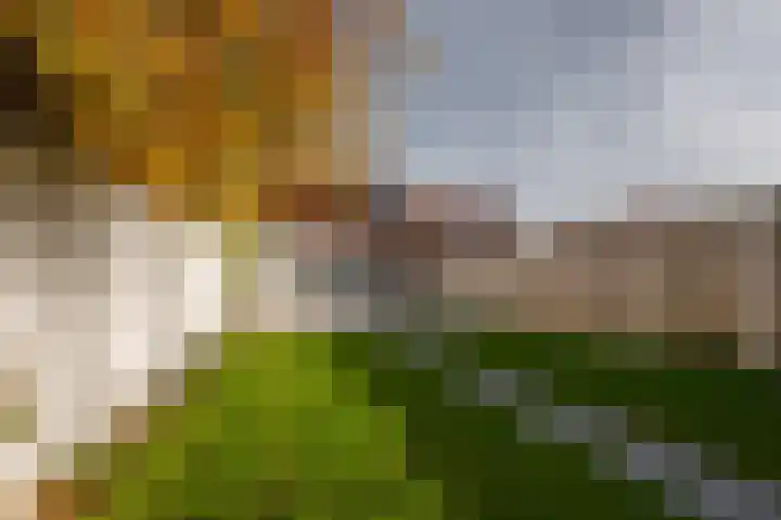 van Hattumstraat 28 Ellewoutsdijk thumbnail 33