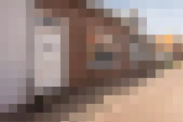 van Hattumstraat 28 Ellewoutsdijk thumbnail 4