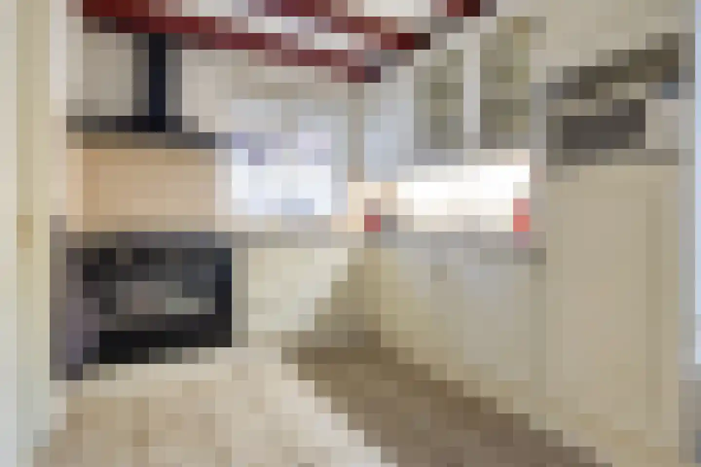 van Hattumstraat 3 Ellewoutsdijk thumbnail 10