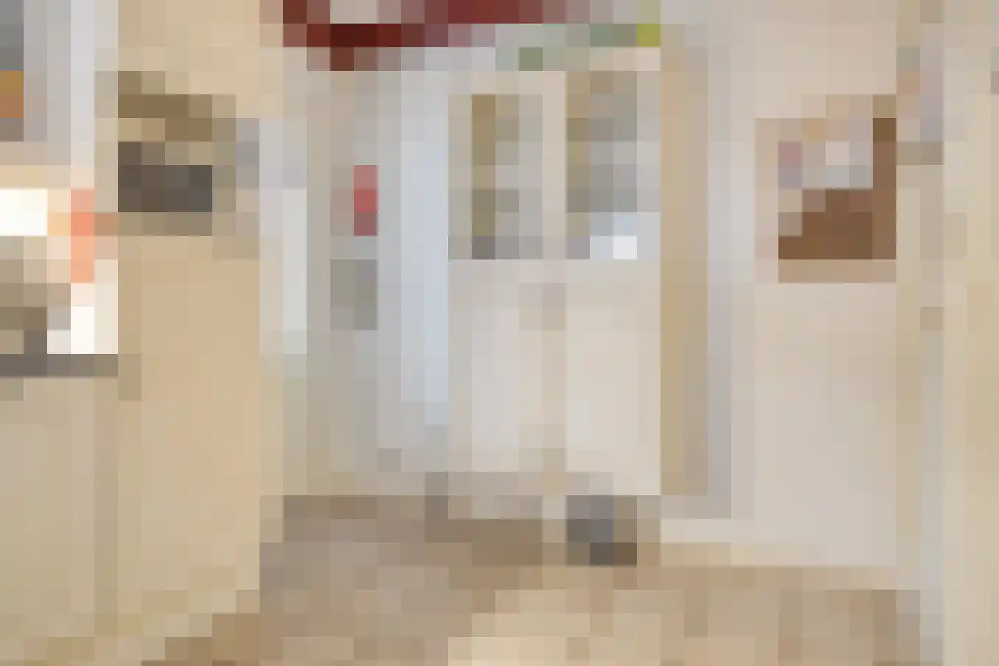 van Hattumstraat 3 Ellewoutsdijk thumbnail 12