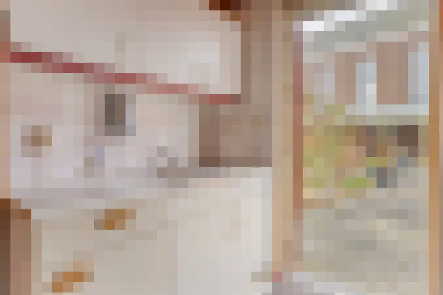 van Hattumstraat 3 Ellewoutsdijk thumbnail 13