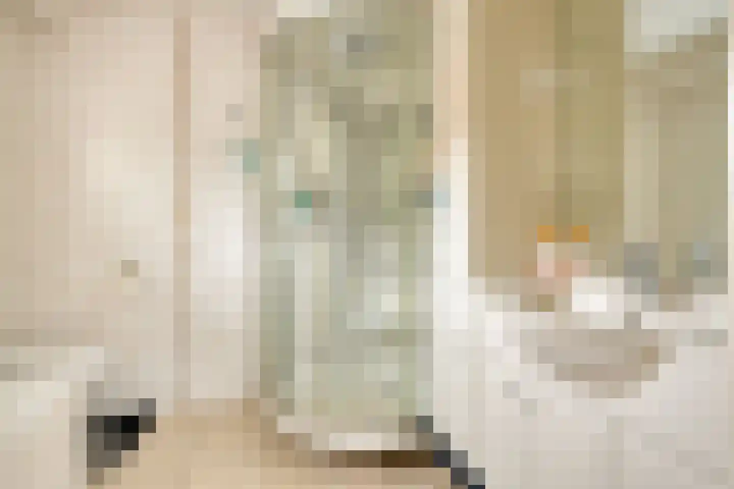 van Hattumstraat 3 Ellewoutsdijk thumbnail 17