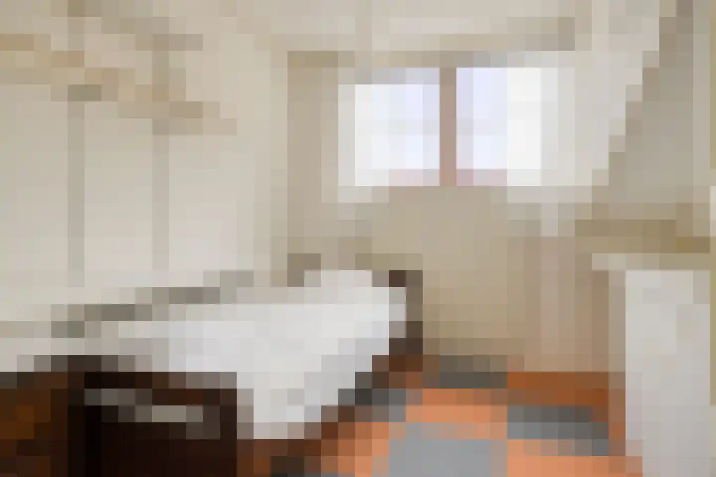 van Hattumstraat 3 Ellewoutsdijk thumbnail 28