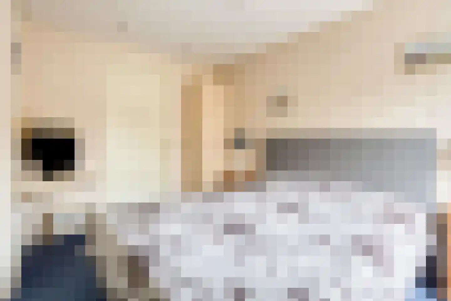 van Hattumstraat 3 Ellewoutsdijk thumbnail 30