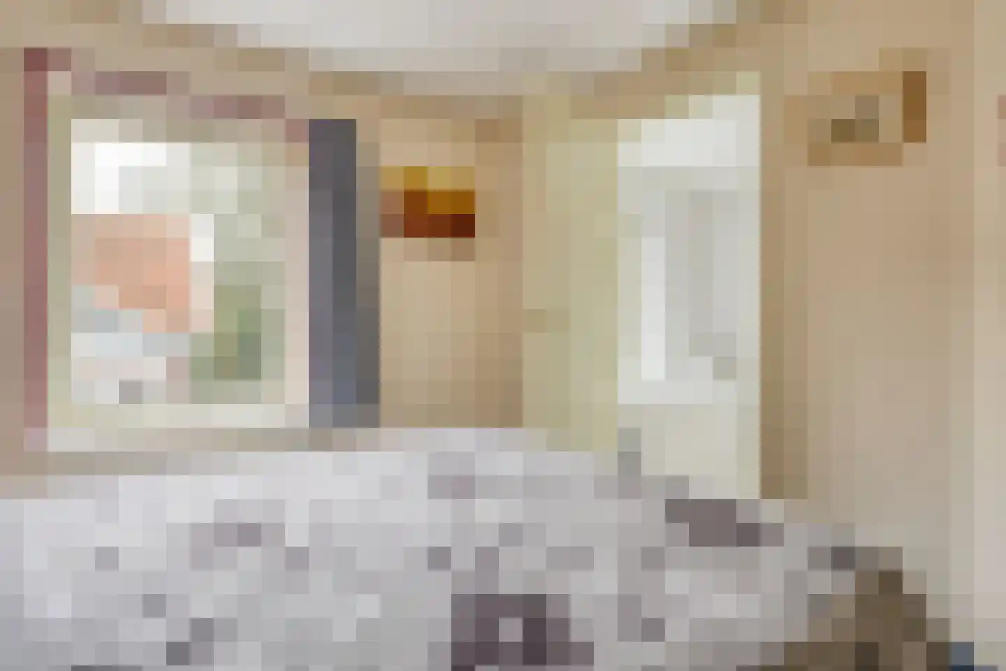 van Hattumstraat 3 Ellewoutsdijk thumbnail 31