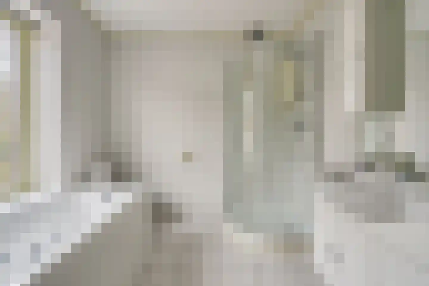 van Hattumstraat 3 Ellewoutsdijk thumbnail 32