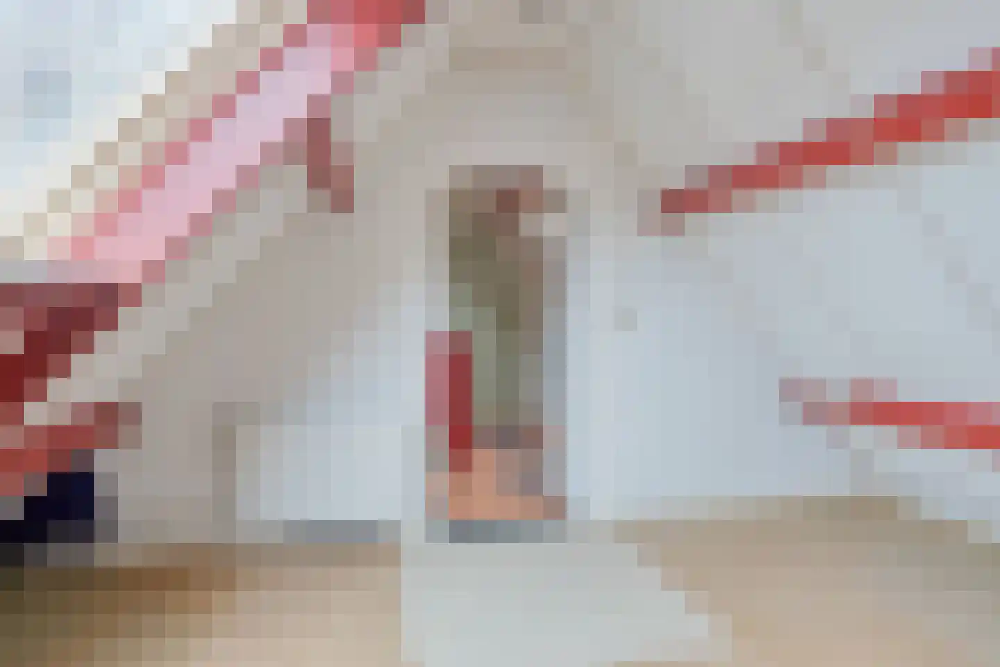 van Hattumstraat 3 Ellewoutsdijk thumbnail 34