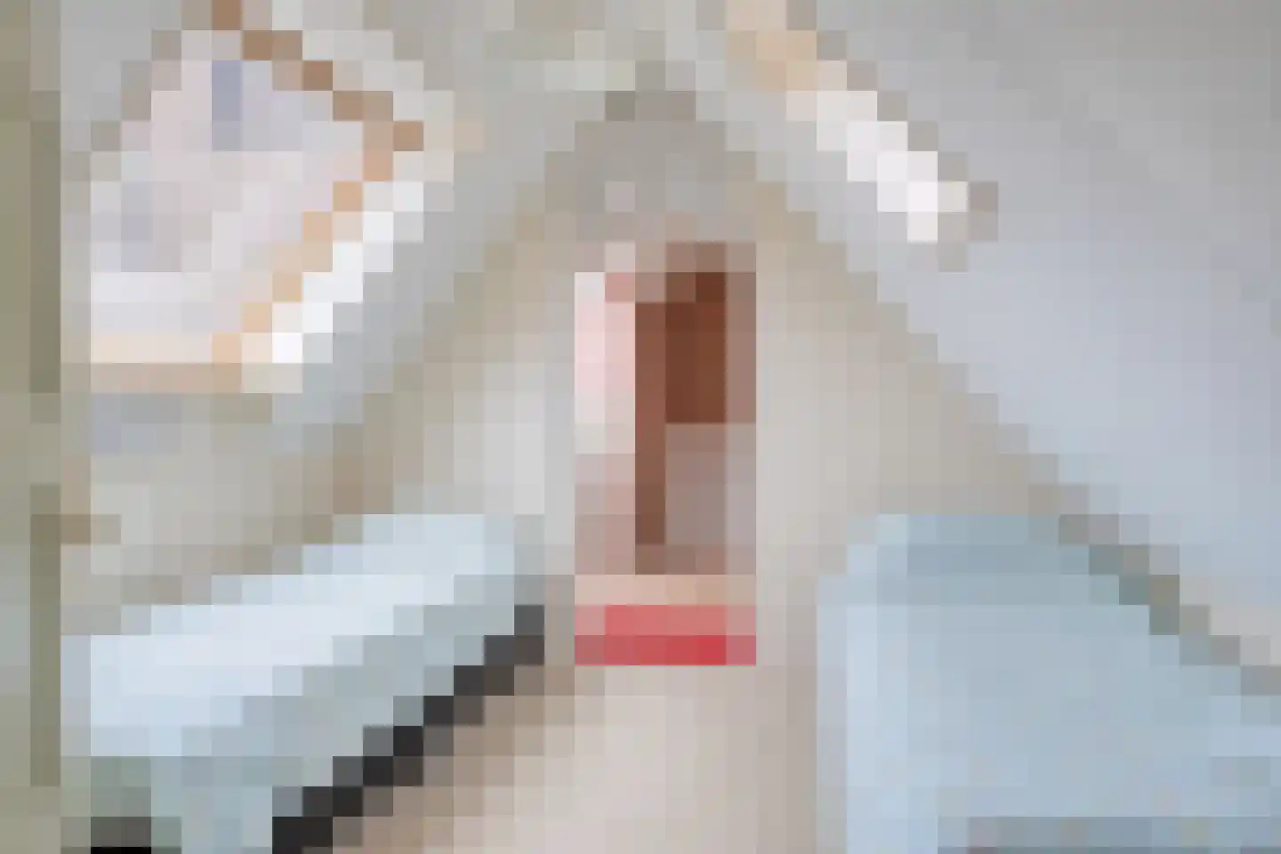 van Hattumstraat 3 Ellewoutsdijk thumbnail 35