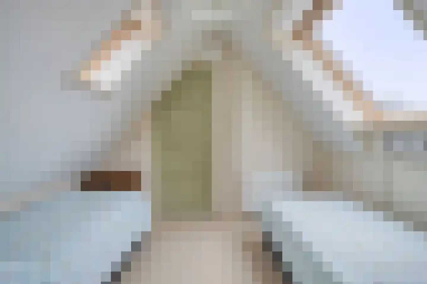 van Hattumstraat 3 Ellewoutsdijk thumbnail 36