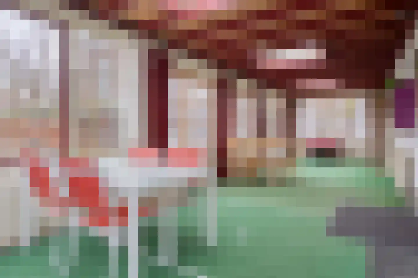 van Hattumstraat 3 Ellewoutsdijk thumbnail 37