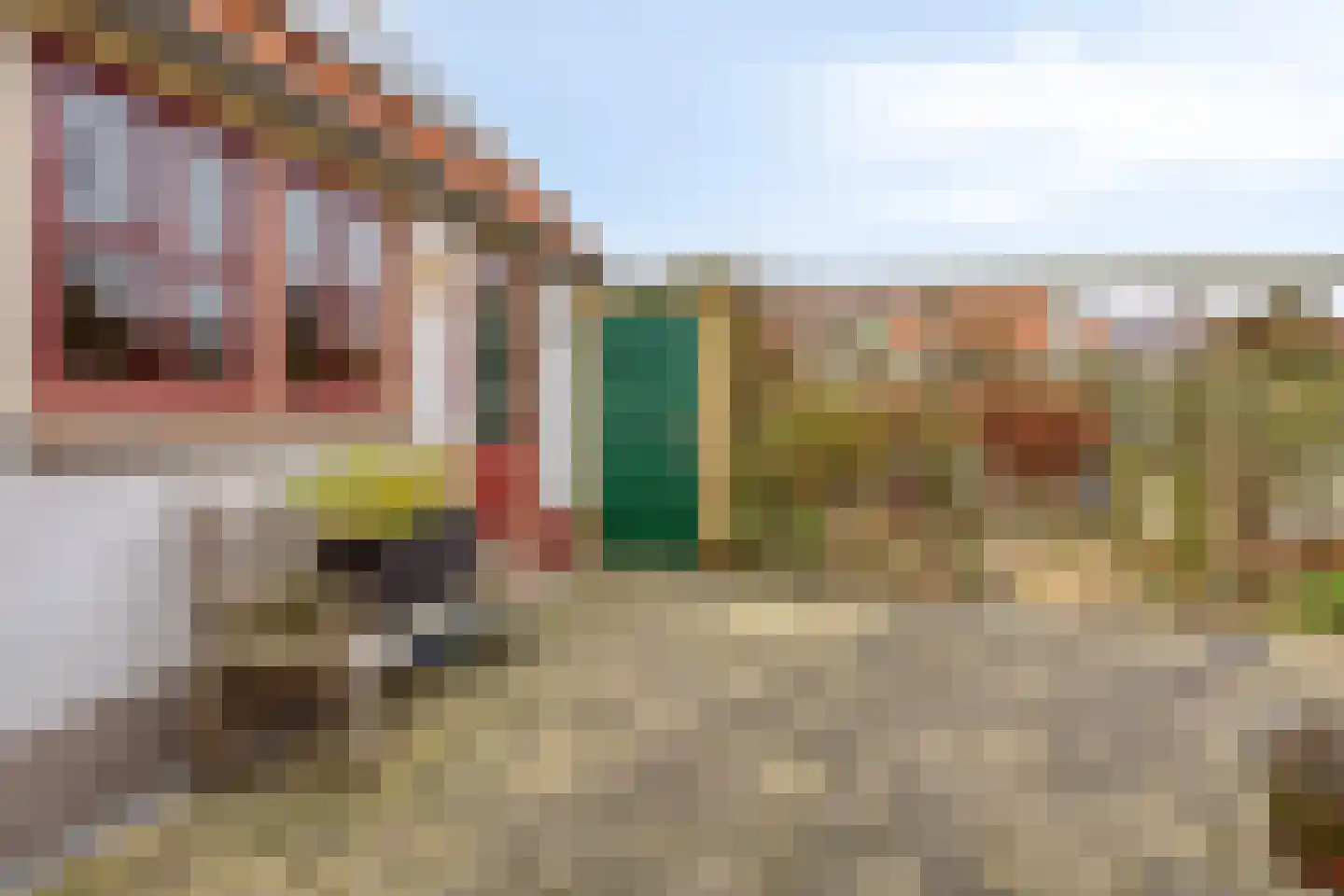van Hattumstraat 3 Ellewoutsdijk thumbnail 37