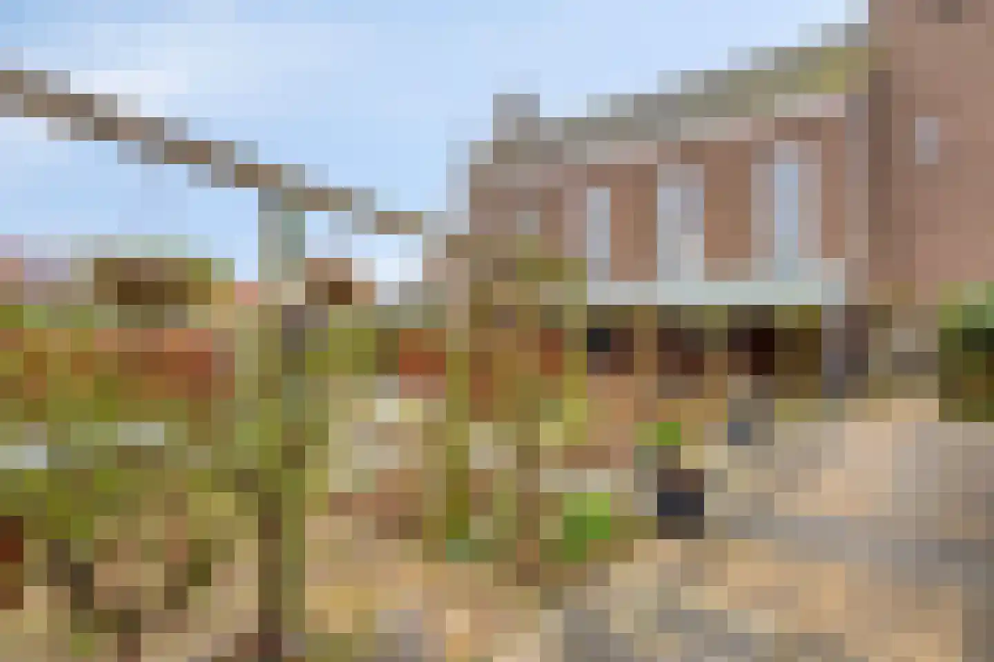van Hattumstraat 3 Ellewoutsdijk thumbnail 38