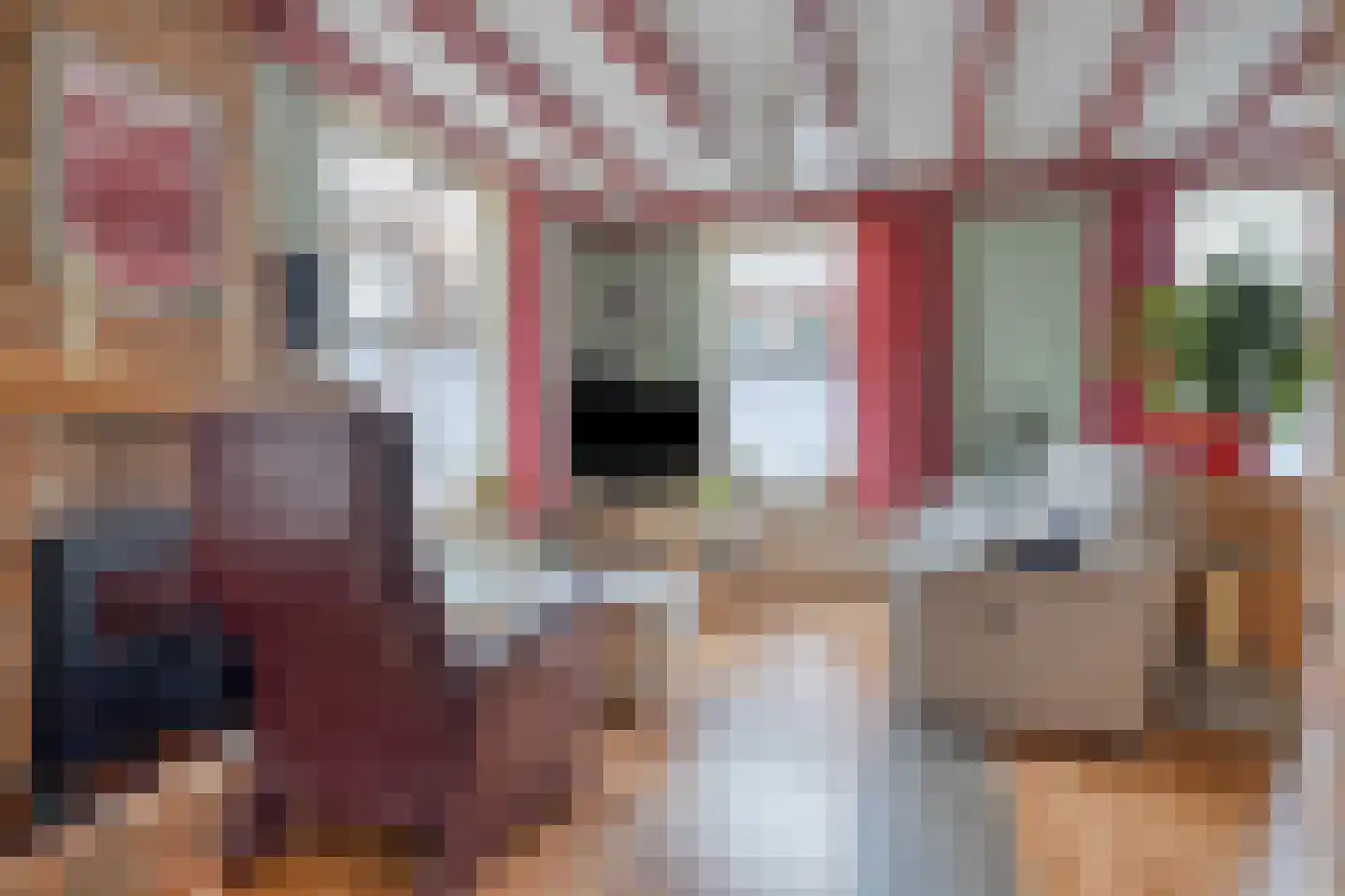 van Hattumstraat 3 Ellewoutsdijk thumbnail 4