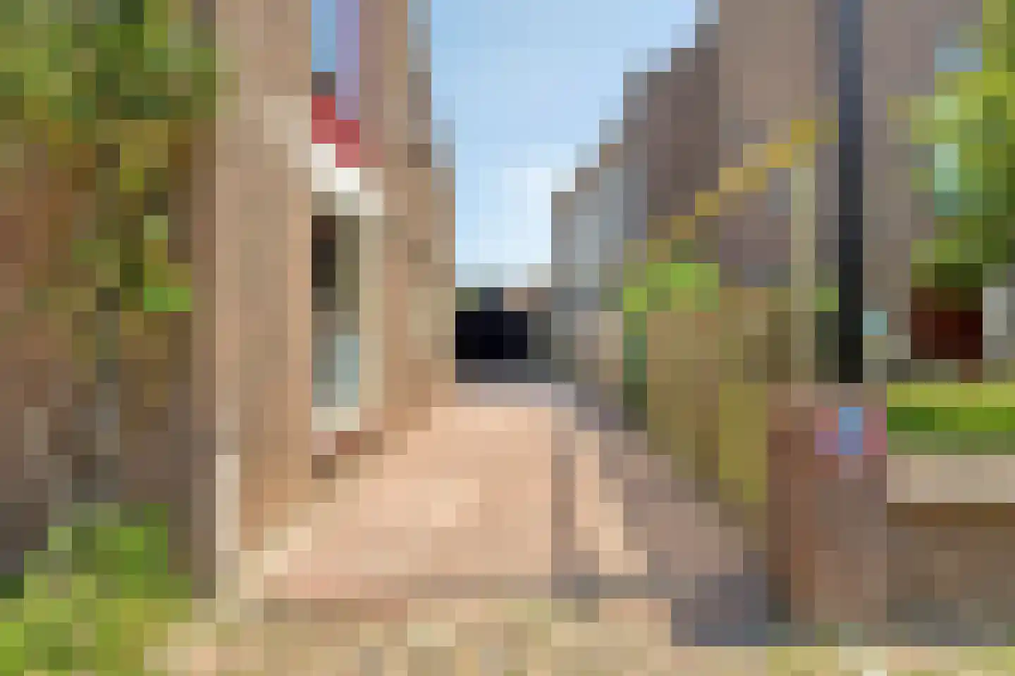 van Hattumstraat 3 Ellewoutsdijk thumbnail 40