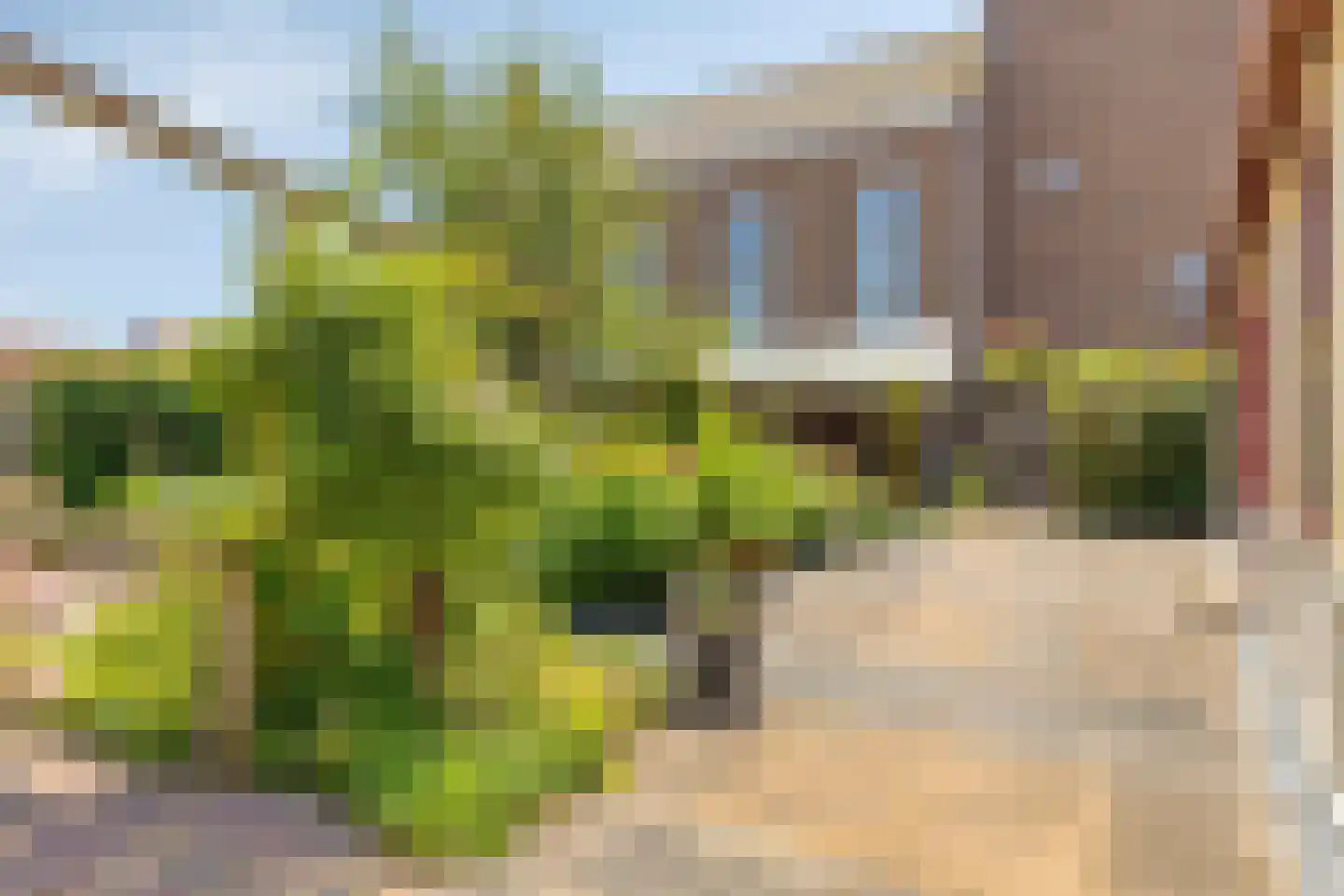 van Hattumstraat 3 Ellewoutsdijk thumbnail 43