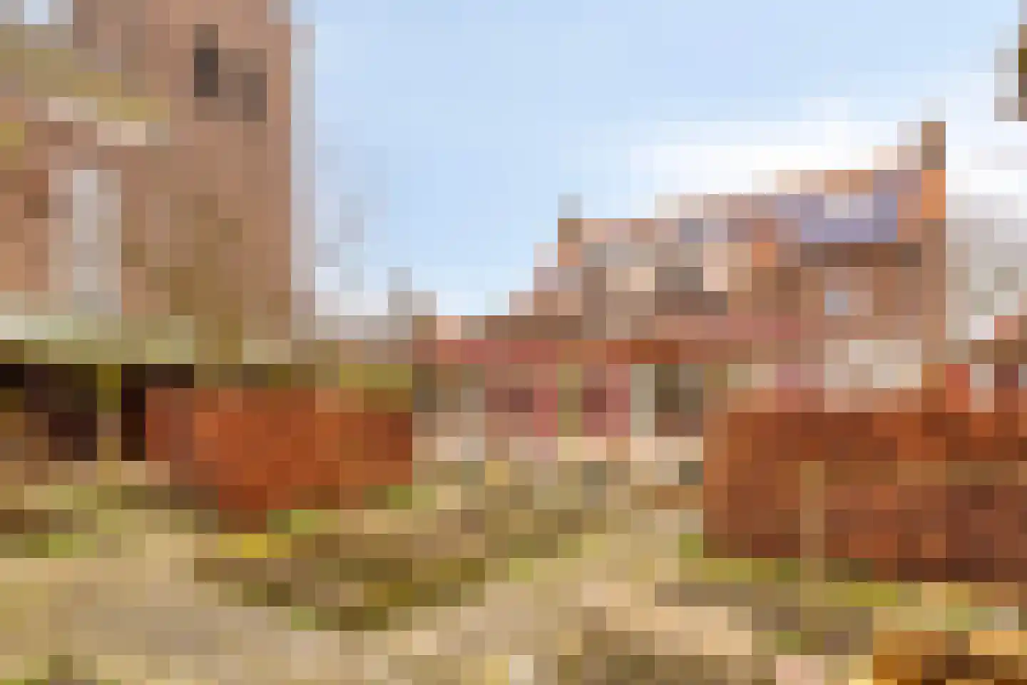 van Hattumstraat 3 Ellewoutsdijk thumbnail 44