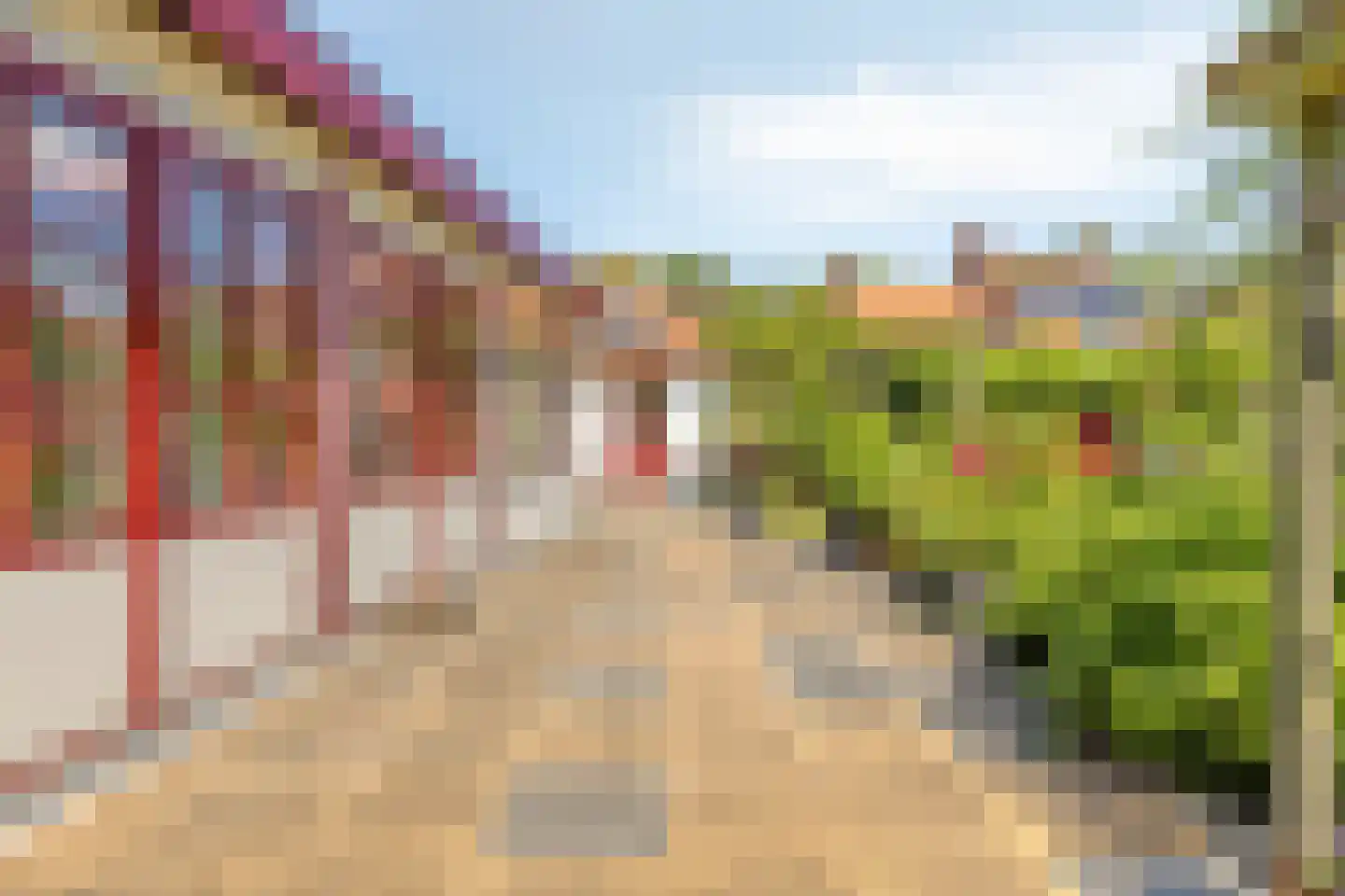 van Hattumstraat 3 Ellewoutsdijk thumbnail 44