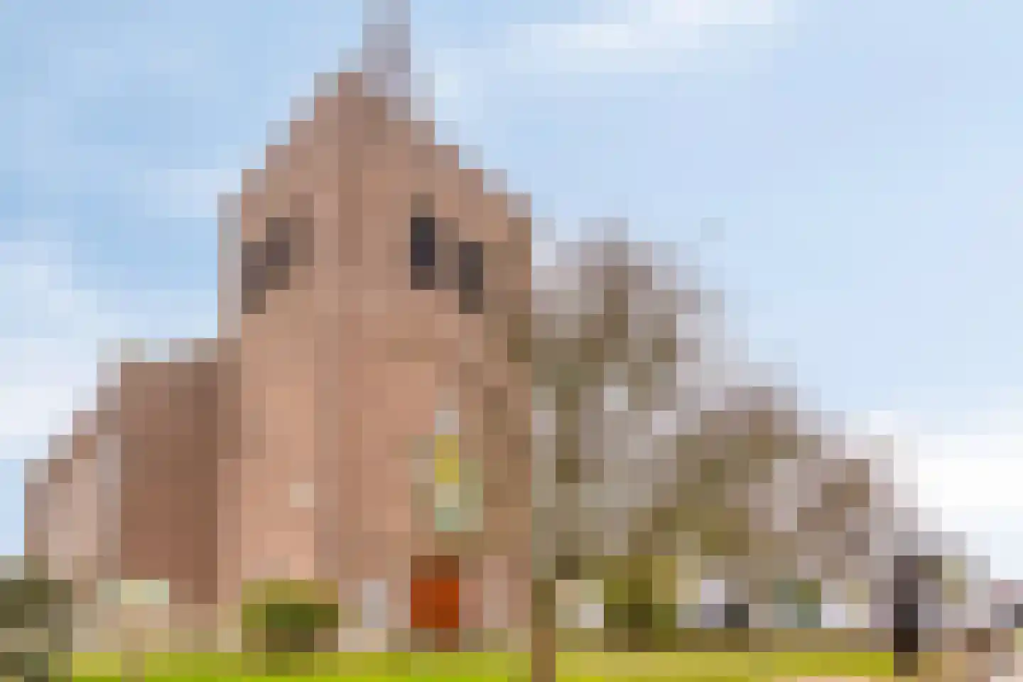van Hattumstraat 3 Ellewoutsdijk thumbnail 49