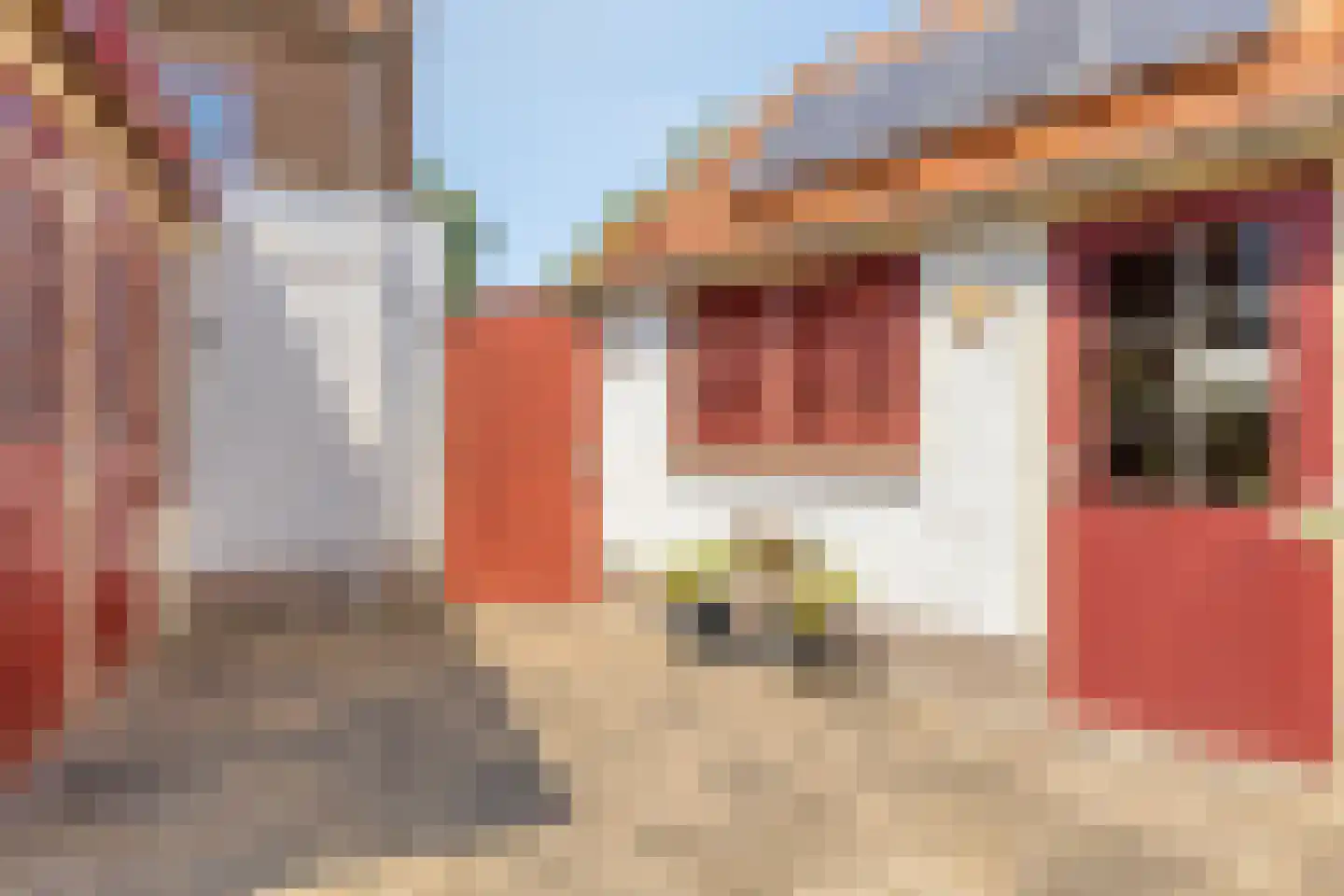 van Hattumstraat 3 Ellewoutsdijk thumbnail 53