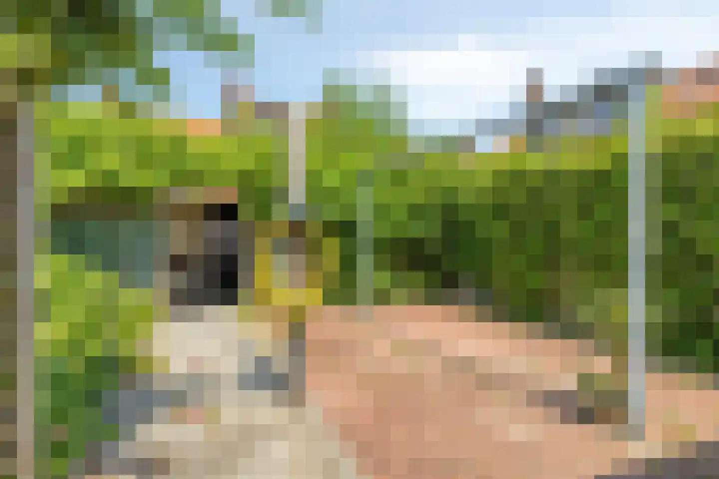 van Hattumstraat 3 Ellewoutsdijk thumbnail 55