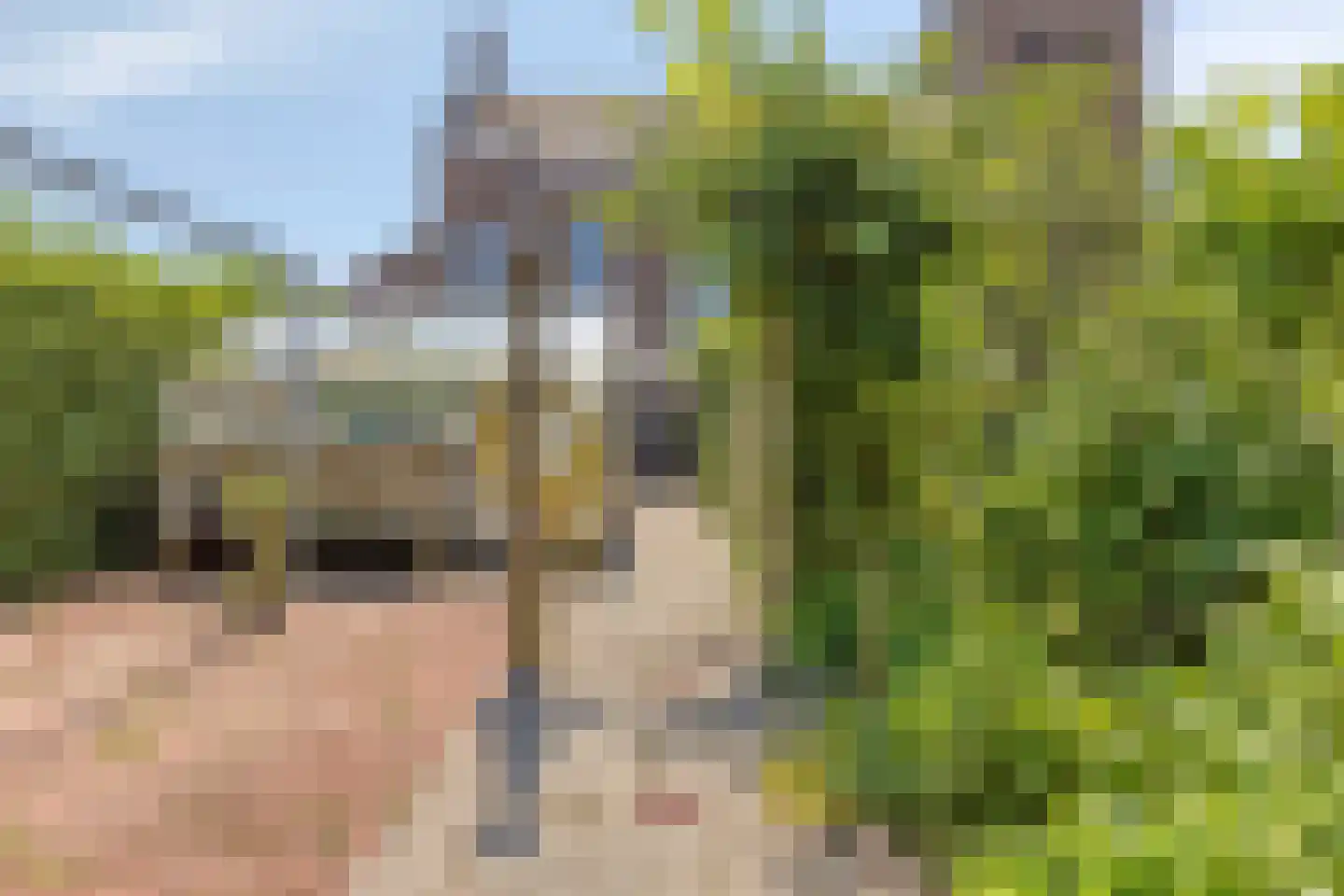 van Hattumstraat 3 Ellewoutsdijk thumbnail 56