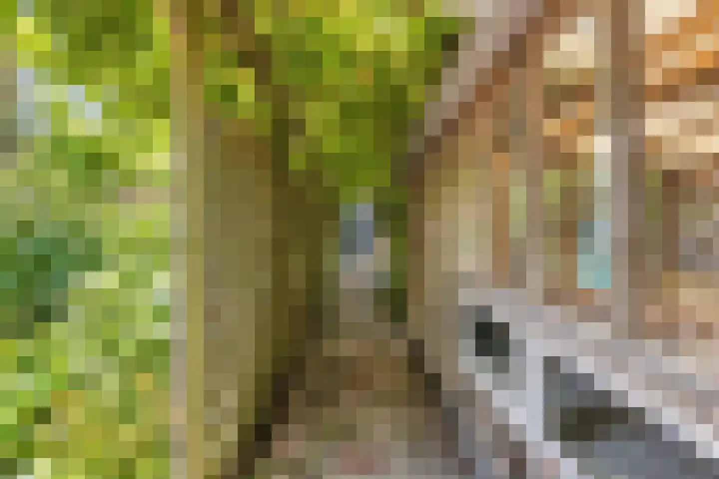 van Hattumstraat 3 Ellewoutsdijk thumbnail 57