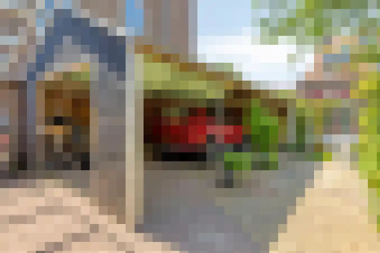van Hattumstraat 3 Ellewoutsdijk thumbnail 60